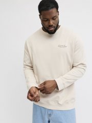 Jack & Jones Archive Graphic Sweatshirt Moonbeam
