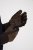 JP1880 811683 Leren handschoenen Bruin - Handschoenen - 