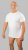 20 Nodi Mezzogiorno Sports T-Shirt White - T-shirts - Grote Maten T-shirts Heren