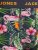 Jack & Jones JACPINK FLAMINGO TRUNKS 5 PACK Navy Blazer - Ondergoed & zwem - Grote Maten Ondergoed Heren