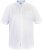 D555 James Short Sleeve Oxford Shirt White - Overhemden - Overhemden Grote Maten Heren