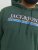 Jack & Jones Codyy Hoodie Green - Sweaters & hoodies - Sweaters & Hoodies Grote Maten Heren