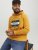 Jack & Jones Codyy Hoodie Yellow - Sweaters & hoodies - Sweaters & Hoodies Grote Maten Heren