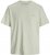 Jack & Jones Almeria Back Print T-Shirt Light Green - T-shirts - Grote Maten T-shirts Heren