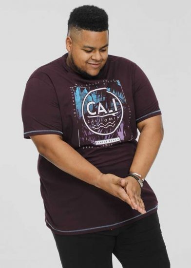 D555 NOVA Cali Surf Printed Crew Neck T-Shirt Plum - T-shirts - Grote Maten T-shirts Heren