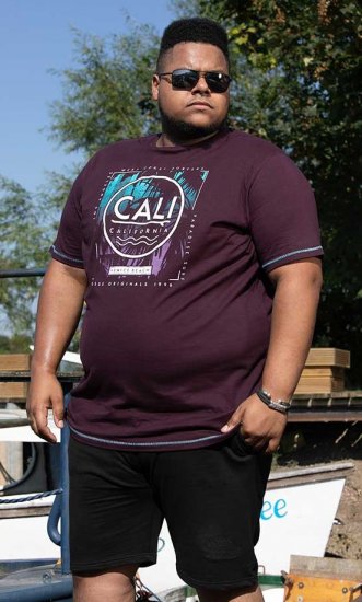 D555 NOVA Cali Surf Printed Crew Neck T-Shirt Plum - T-shirts - Grote Maten T-shirts Heren
