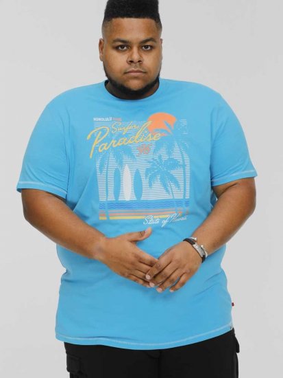 D555 AARON Surfers Paradise Printed Crew Neck T-Shirt Turquoise - T-shirts - Grote Maten T-shirts Heren