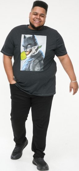 D555 MARTIN Official Batman Printed T-Shirt Washed Black - T-shirts - Grote Maten T-shirts Heren