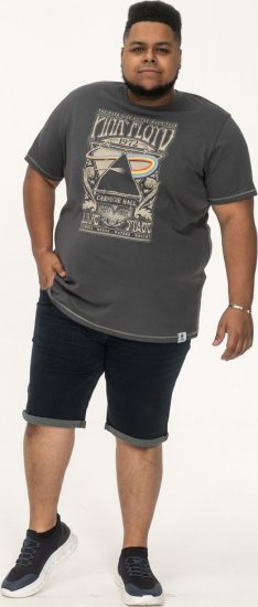 D555 HANLEY Official Pink Floyd Crew Neck T-Shirt Dark Grey TALL SIZES - HERENKLEDING MT-6XLT - Tall Kleding Heren