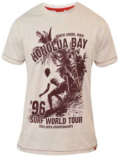 D555 CLAYTON Honolua Bay T-shirt White Marl - T-shirts - Grote Maten T-shirts Heren