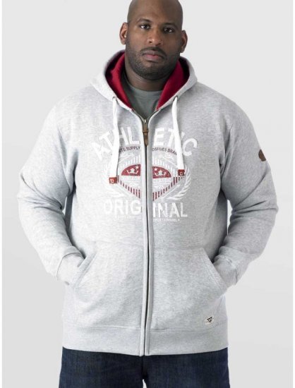 D555 Gabriel Athletic Zip Hoodie Grey - Sweaters & hoodies - Sweaters & Hoodies Grote Maten Heren