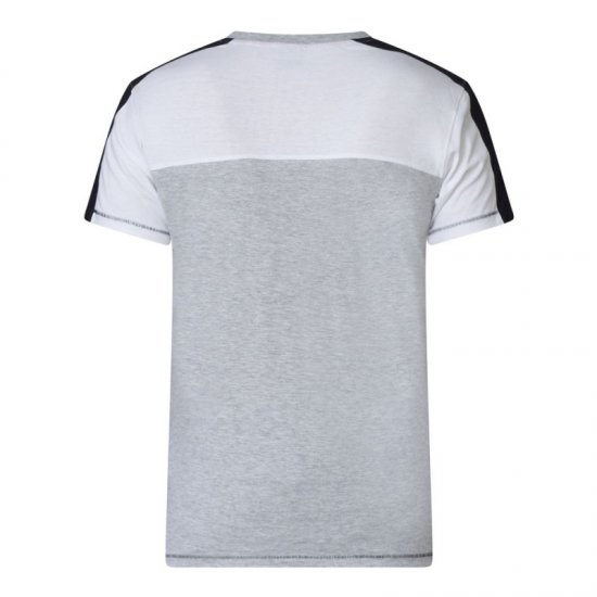 D555 Alvester T-shirt Grey - T-shirts - Grote Maten T-shirts Heren