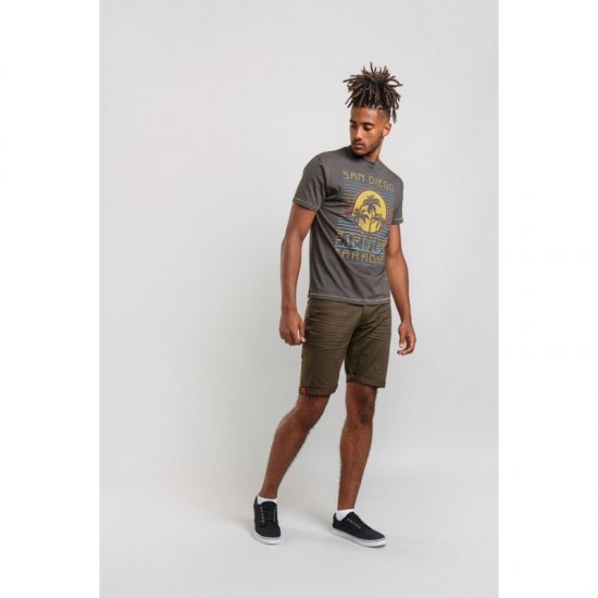 D555 Stanley T-shirt Khaki - T-shirts - Grote Maten T-shirts Heren