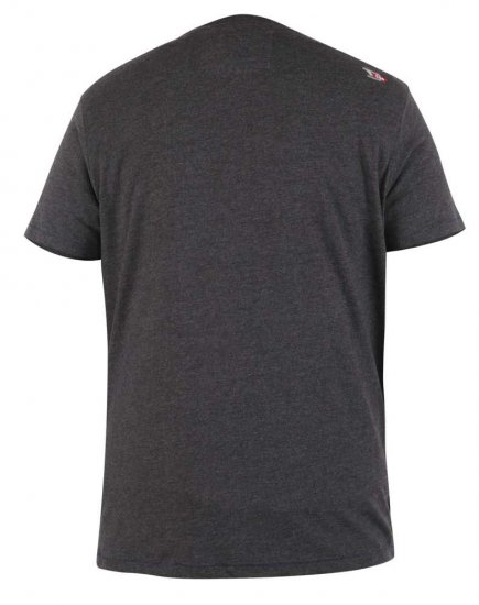 D555 Hemford Printed T-Shirt - T-shirts - Grote Maten T-shirts Heren