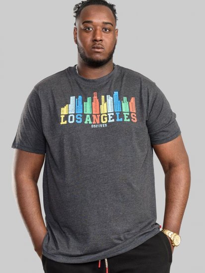 D555 Hemford Printed T-Shirt - T-shirts - Grote Maten T-shirts Heren