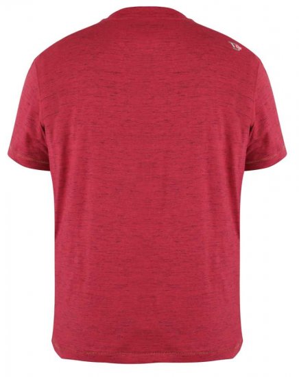 D555 Lettaford Printed T-shirt - T-shirts - Grote Maten T-shirts Heren