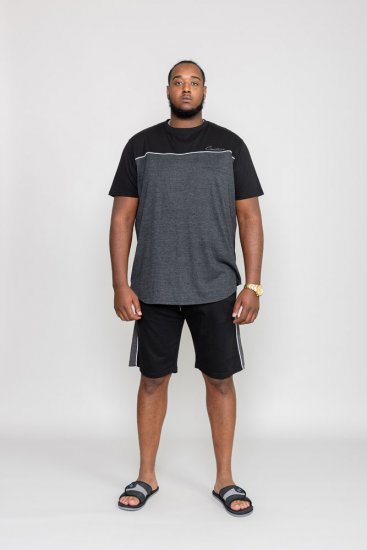 D555 NEWBURY T-Shirt - T-shirts - Grote Maten T-shirts Heren