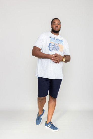 D555 LANGDON Printed T-Shirt - T-shirts - Grote Maten T-shirts Heren