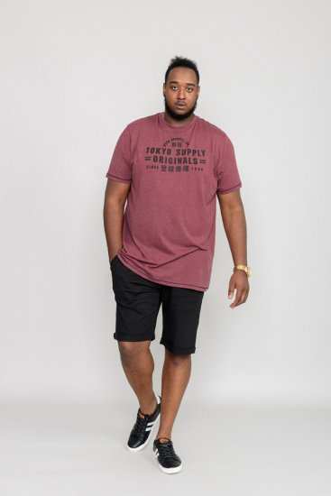 D555 LINTON Printed T-Shirt - T-shirts - Grote Maten T-shirts Heren