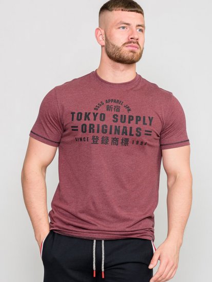 D555 LINTON Printed T-Shirt - T-shirts - Grote Maten T-shirts Heren