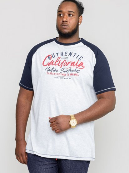 D555 SPARROW Printed T-Shirt - T-shirts - Grote Maten T-shirts Heren