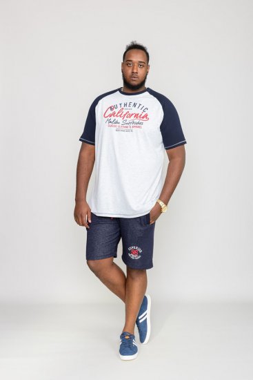 D555 SPARROW Printed T-Shirt - T-shirts - Grote Maten T-shirts Heren