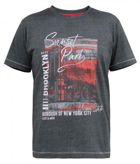D555 Bramfield Sunset Park Brooklyn Printed T-Shirt - T-shirts - Grote Maten T-shirts Heren