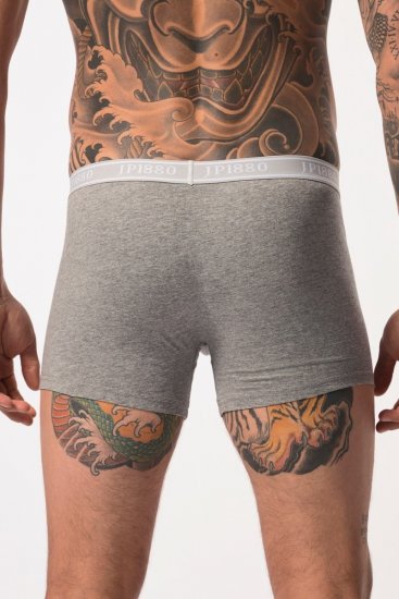 JP1880 Boxershorts Flexnamic OEKO-TEX Mid 2-Pack Grey/Off-White - Ondergoed & zwem - Grote Maten Ondergoed Heren