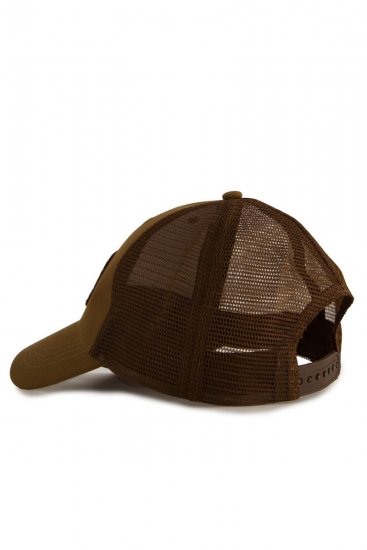 JP1880 843646 Pet Bruin - Petten - 