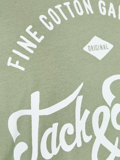 Jack & Jones JJERAFA TEE Light Green - T-shirts - Grote Maten T-shirts Heren