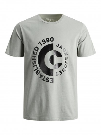 Jack & Jones JCOSPRING T-Shirt Gray - T-shirts - Grote Maten T-shirts Heren
