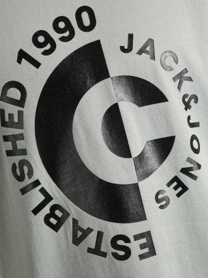 Jack & Jones JCOSPRING T-Shirt Gray - T-shirts - Grote Maten T-shirts Heren