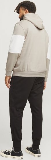 Jack & Jones LEGACY 2 Color Hoodie Beige - Sweaters & hoodies - Sweaters & Hoodies Grote Maten Heren