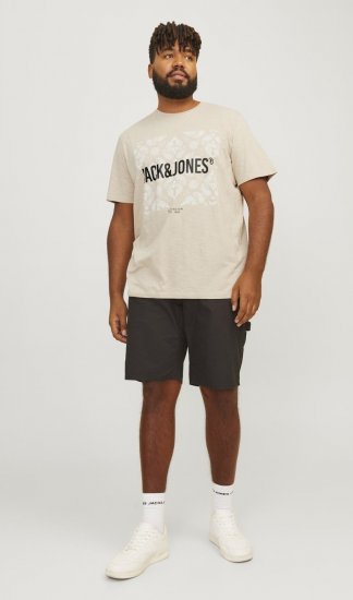 Jack & Jones JJPAISLEY T-Shirt Moonbeam - T-shirts - Grote Maten T-shirts Heren