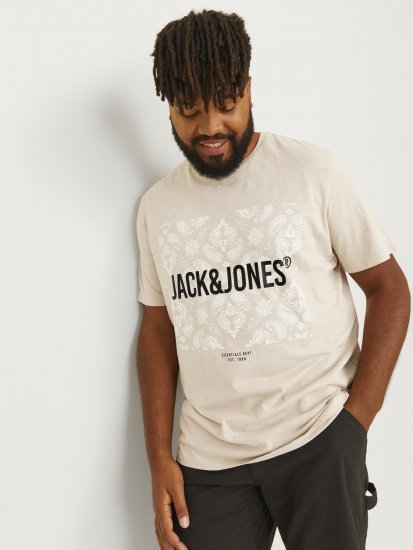 Jack & Jones JJPAISLEY T-Shirt Moonbeam - T-shirts - Grote Maten T-shirts Heren