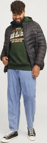 Jack & Jones 2 COL LOGO Hoodie Kombu Green - Sweaters & hoodies - Sweaters & Hoodies Grote Maten Heren