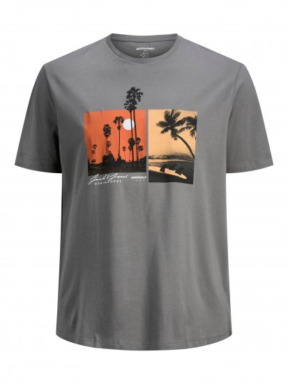 Jack & Jones Rocto T-shirt Sedona sage - T-shirts - Grote Maten T-shirts Heren