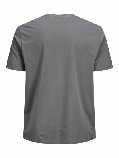 Jack & Jones Rocto T-shirt Sedona sage - T-shirts - Grote Maten T-shirts Heren