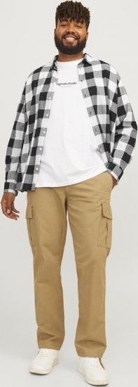 Jack & Jones Gingham L/S Shirt Whisper White - Overhemden - Overhemden Grote Maten Heren
