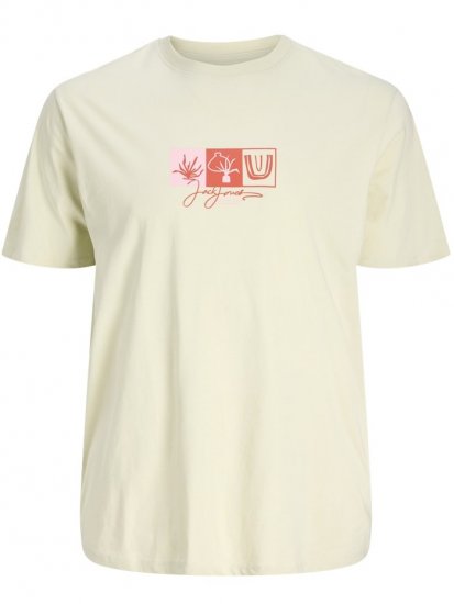 Jack & Jones Canggu Crew Neck T-Shirt Celadon Tint - T-shirts - Grote Maten T-shirts Heren