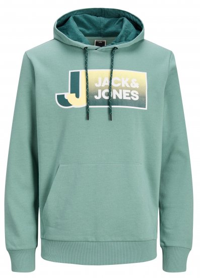 Jack & Jones JCOLOGAN Hoodie Trellis - Sweaters & hoodies - Sweaters & Hoodies Grote Maten Heren