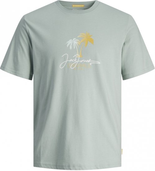 Jack & Jones JORCASEY T-Shirt Crew Neck Gray Mist - T-shirts - Grote Maten T-shirts Heren