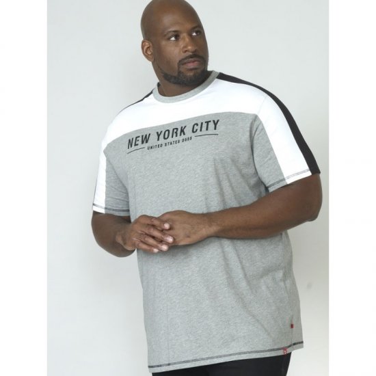 D555 Alvester T-shirt Grey - T-shirts - Grote Maten T-shirts Heren