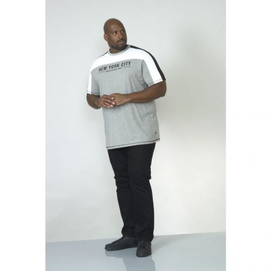 D555 Alvester T-shirt Grey - T-shirts - Grote Maten T-shirts Heren