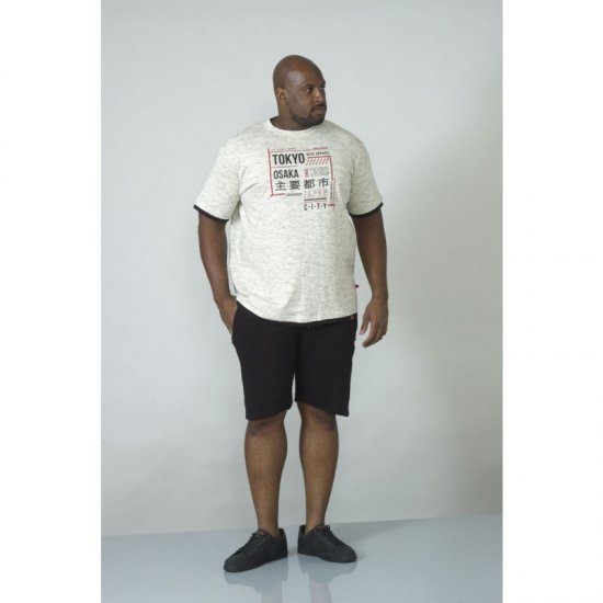 D555 Merlin T-shirt Grey - T-shirts - Grote Maten T-shirts Heren