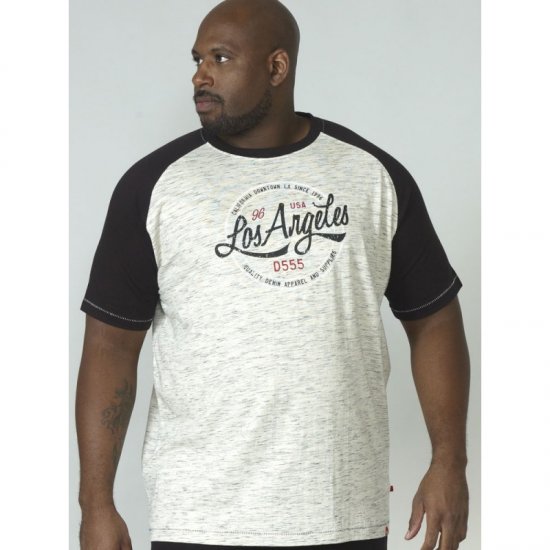 D555 Judson T-shirt Grey - T-shirts - Grote Maten T-shirts Heren