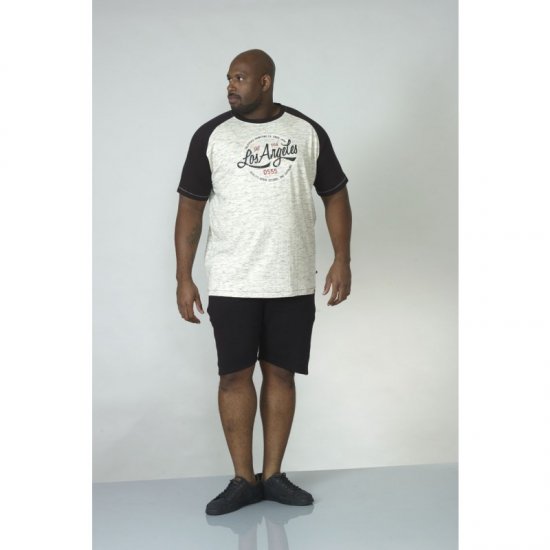 D555 Judson T-shirt Grey - T-shirts - Grote Maten T-shirts Heren