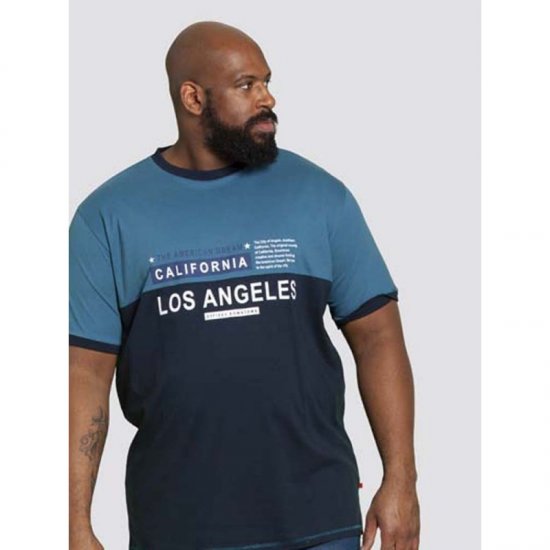 D555 Jackson T-shirt Teal - T-shirts - Grote Maten T-shirts Heren