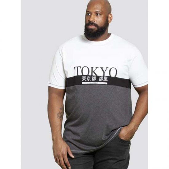 D555 Morris T-shirt Charcoal - T-shirts - Grote Maten T-shirts Heren