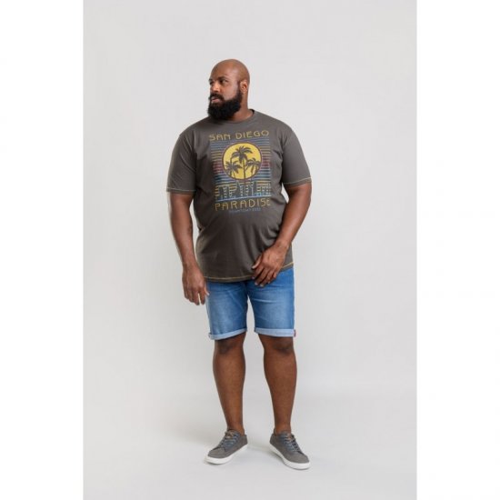 D555 Stanley T-shirt Khaki - T-shirts - Grote Maten T-shirts Heren